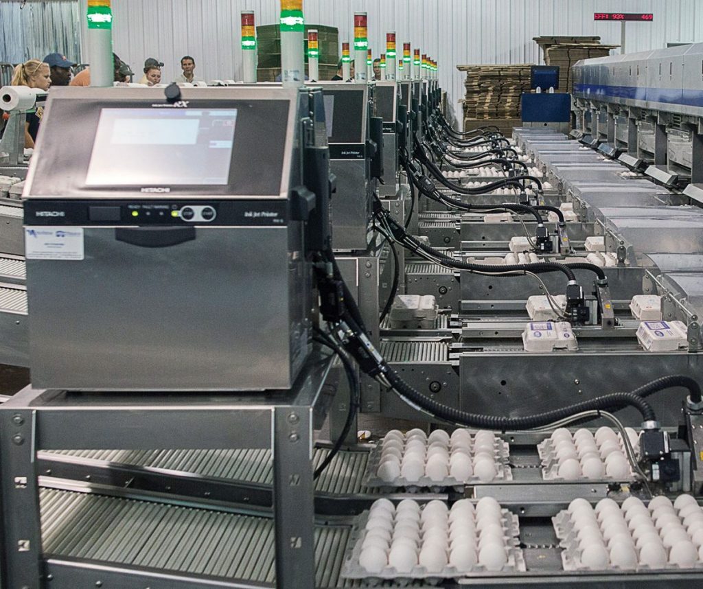 Máy in phun Hitachi trong dây chuyền sản xuất in trứng